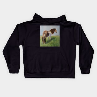 Wild Horse from Assateague Island Kids Hoodie